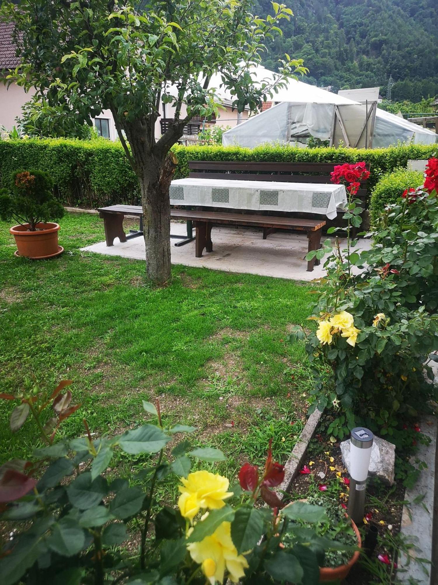 Kiara Rooms جيسينيس الغرفة الصورة